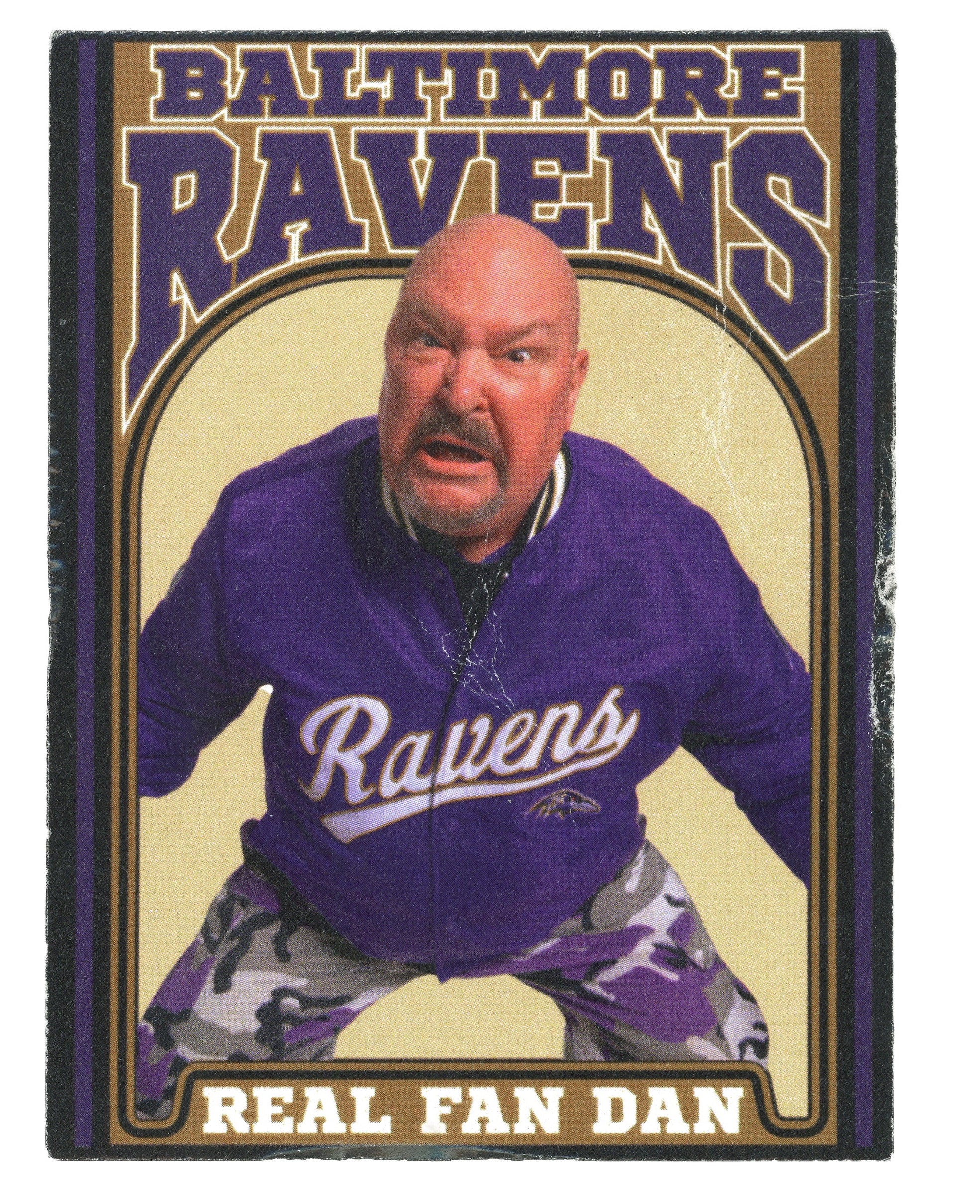RAVENS